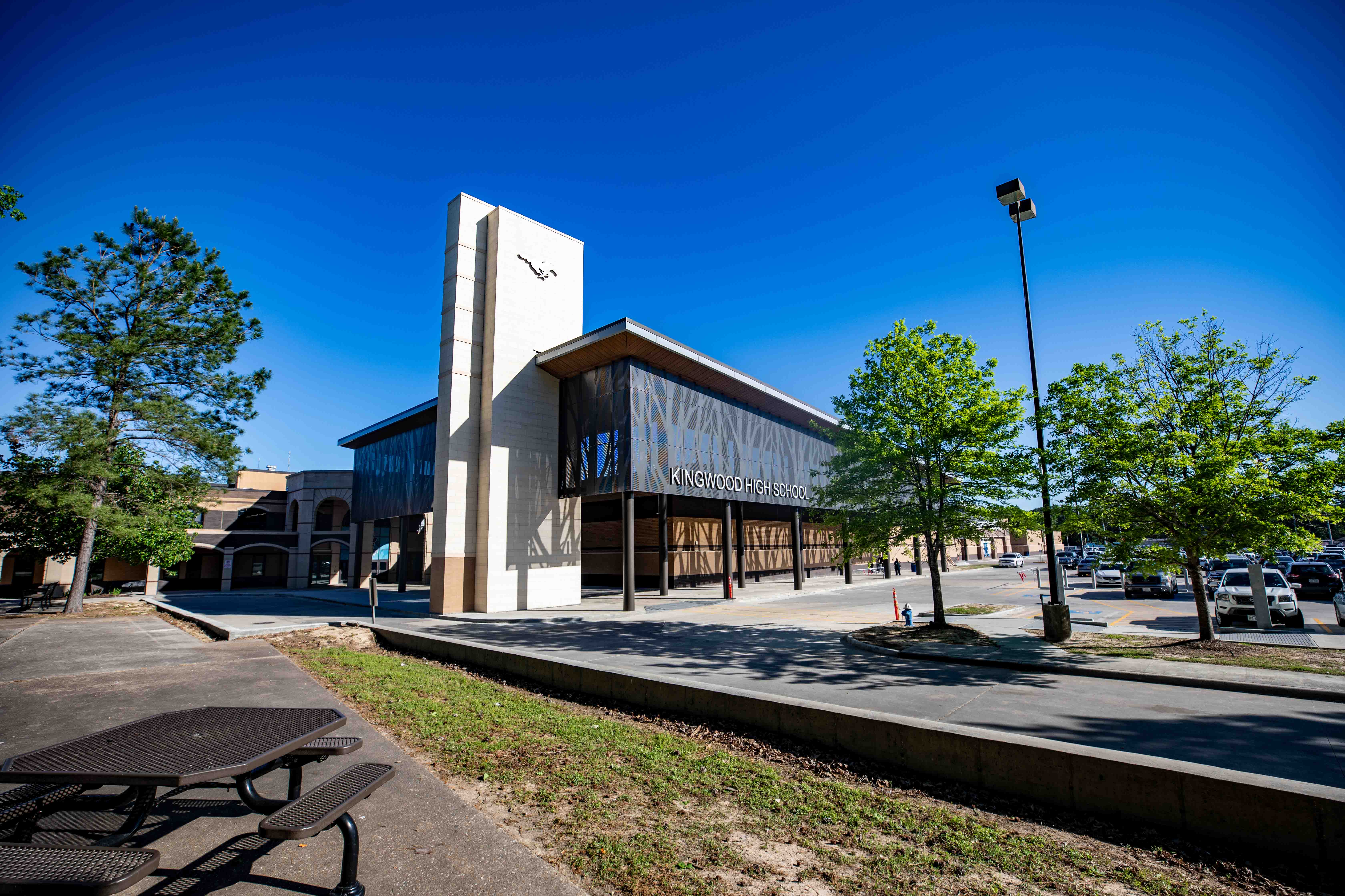 Kingwood, TX artificial turf projects